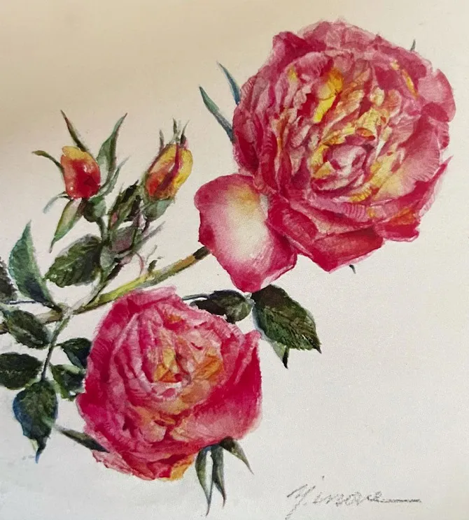 鮮やかな赤と黄色の2輪のバラが描かれた、細密な水彩画